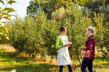 Çiftlikte elma ağaçlarının arasında iki güzel kadın
