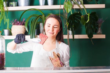 Çiğ vegan kuru ekmek, sağlıklı gıda kavramı susuz.