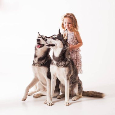Kız ve iki köpek husky beyaz izole