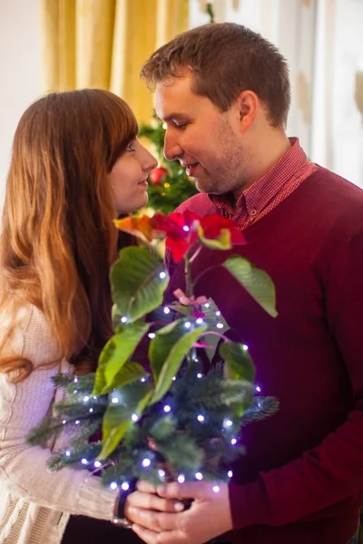 クリスマスにライトアップされたポインセチア花と愛情のあるカップル — ストック写真