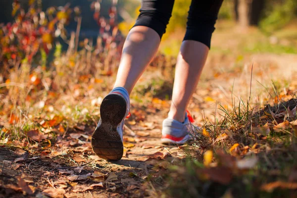 Zavřít Pohled Jogging Žena Nohy Zem Suché Listí — Stock fotografie