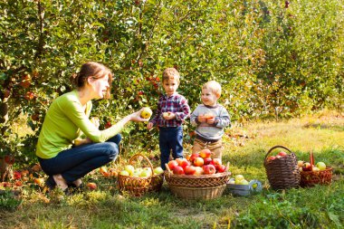 Elma bahçesinde okul öncesi öğretmen