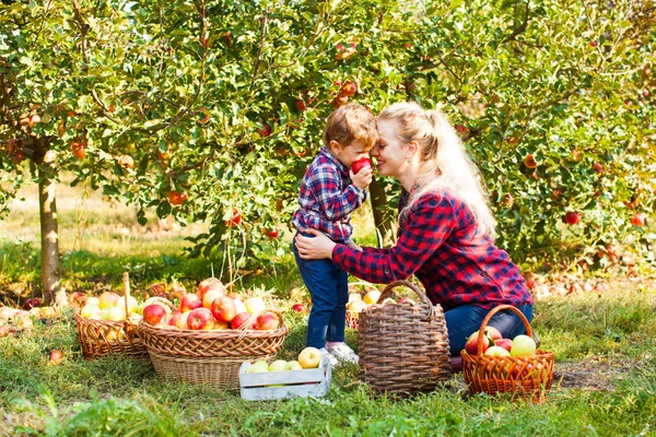 Kvinna och en flicka på orchard — Stockfoto