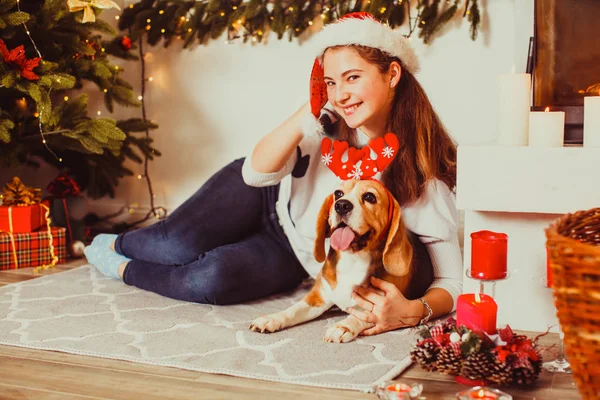 Hund unterm Weihnachtsbaum zu Hause, — Stockfoto