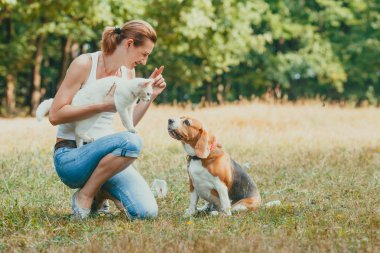 Evcil hayvan sahibi, kedisine diz çöküp köpeğini eğitiyor