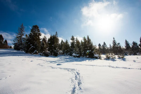 Fantastisch winter landschap in zonnige dag. Beauty World. — Stockfoto