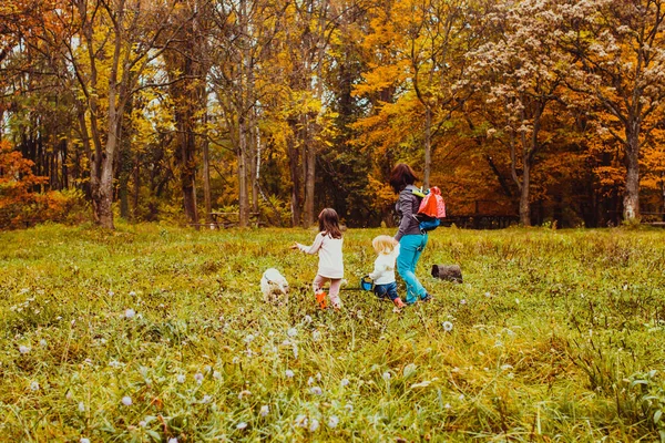 Μητέρα και παιδιά που περπατούν στο φθινοπωρινό πάρκο — Φωτογραφία Αρχείου