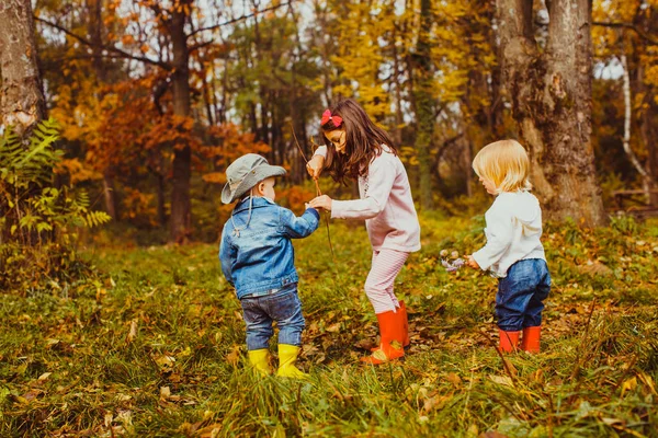 Little children playing in the park in autumn — Stock Photo, Image