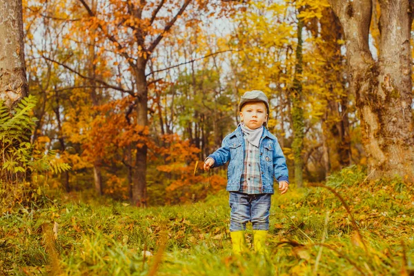 秋の公園の散歩にチェックシャツの小さな好奇心旺盛な少年 — ストック写真