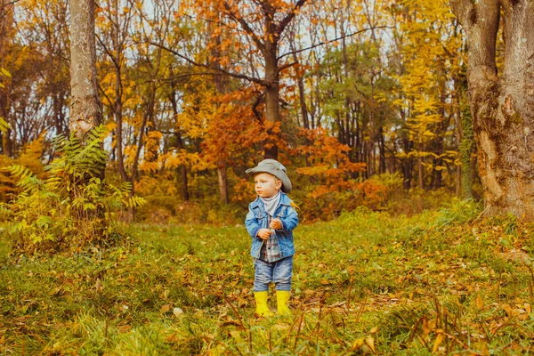 Kleiner süßer Junge steht in einem herbstlichen Park — Stockfoto