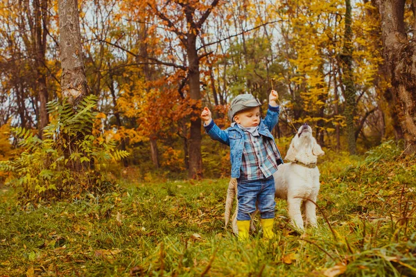 Küçük çocuk altın retriever köpek yavrusu ile yürüyüş — Stok fotoğraf