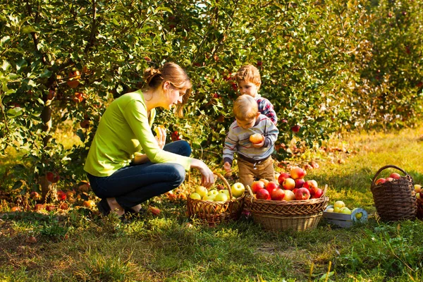 Elma bahçesinde okul öncesi öğretmen