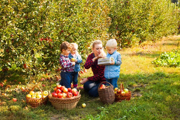 Lärare med förskolebarn i apple trädgården — Stockfoto