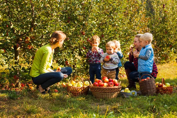 Lärare med förskolebarn i apple trädgården — Stockfoto