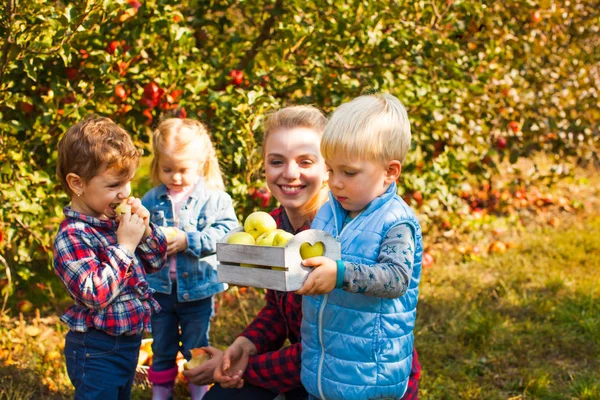 Maestra con niños en edad preescolar en el huerto de manzanas — Foto de Stock