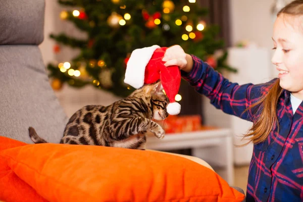 Weihnachtskatze mit roter Nikolausmütze — Stockfoto