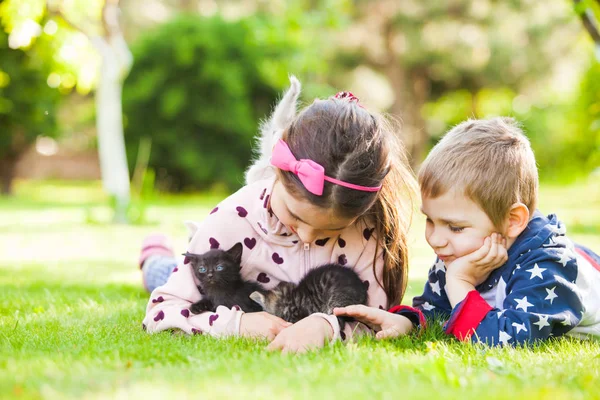 Crianças brincando com gato no gramado verde — Fotografia de Stock