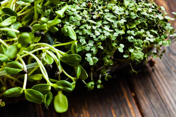 Micro variedade de verdes em caixas na mesa de madeira de perto — Fotografia de Stock