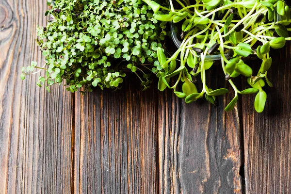 Micro greens variety top view on wooden table with copy space — Stock Photo, Image