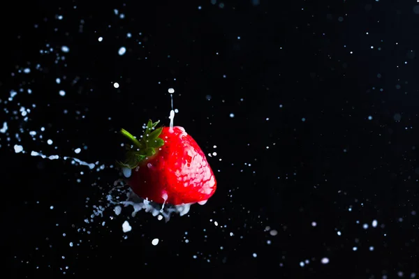 Strawberry fruit close up and milk splashes — Stock Photo, Image