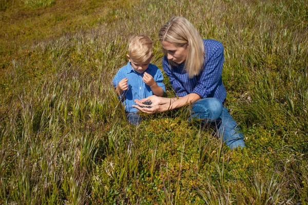 Familjen smakar vilda bär i fjällen — Stockfoto