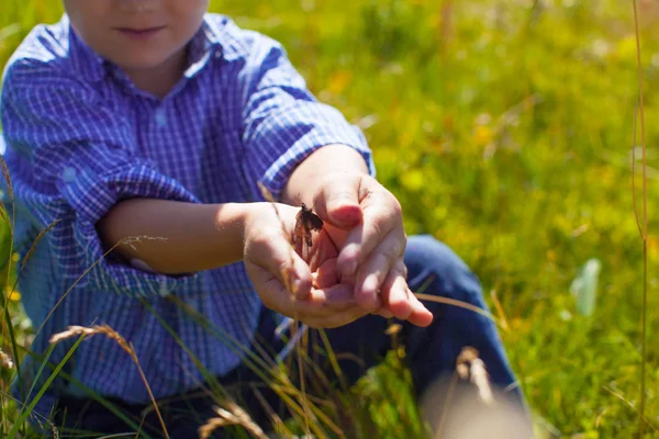 Anak itu menangkap kupu-kupu di tangan — Stok Foto