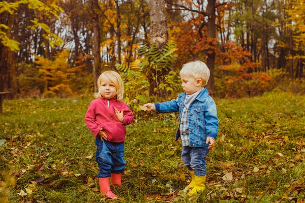 秋の公園でかわいい子供たちは自然に遊ぶ — ストック写真