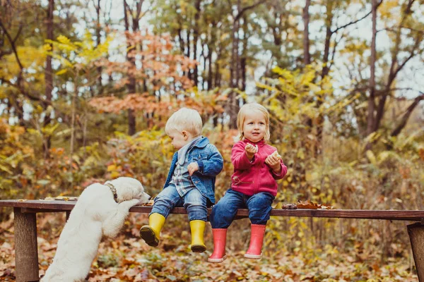Діти і собачка в осінньому парку — стокове фото