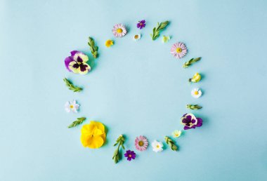 Bahar çiçekleri mavi arka planda daire olarak çerçeve