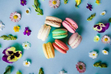 Mavi arka planda renkli makaronlar ve çiçekler