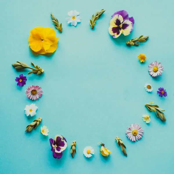 Marco de flores de primavera como círculo sobre el fondo azul —  Fotos de Stock