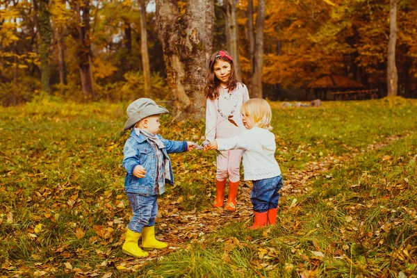 秋の公園で遊ぶかわいい子供たち — ストック写真