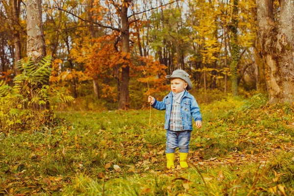 Junge mit Cowboyhut spaziert im Herbst durch den Wald — Stockfoto