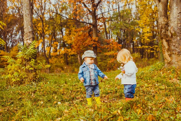 Malí hoši si hrají s pobočkami v parku — Stock fotografie