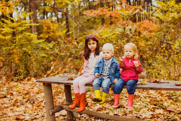 Dzień rodziny w jesienny Park, grupa dzieci — Zdjęcie stockowe