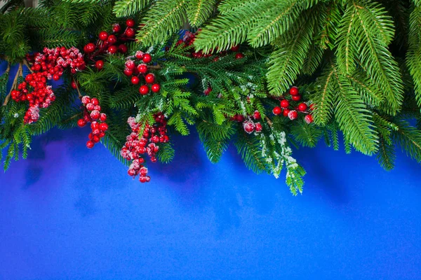 Weihnachten blauer Hintergrund mit Stechpalme und Tannenzweig — Stockfoto