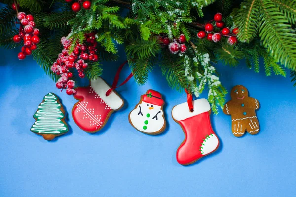 Natale sfondo blu con ramo agrifoglio con biscotti allo zenzero . — Foto Stock