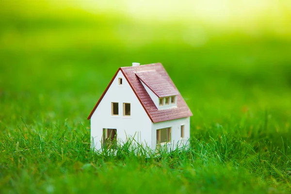Маленький милий модельний будинок крупним планом в траві і ромашки ввечері . — стокове фото