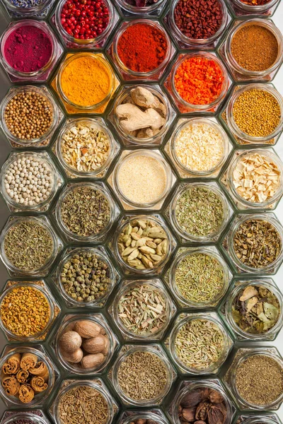 Bright colorful top view spices and herbs — Stock Photo, Image