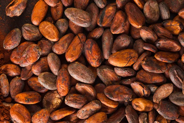 Pattern of the cocoa beans background close up — Stock Photo, Image