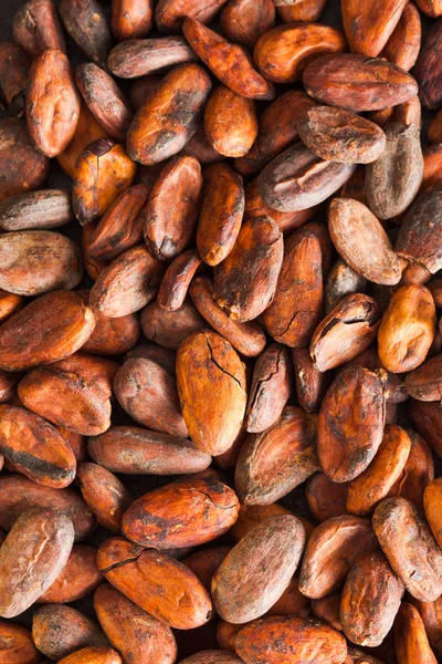 Pattern of the cocoa beans top view — Stock Photo, Image
