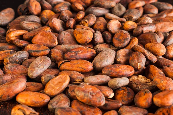 The cocoa beans close up on the table — Stock Photo, Image