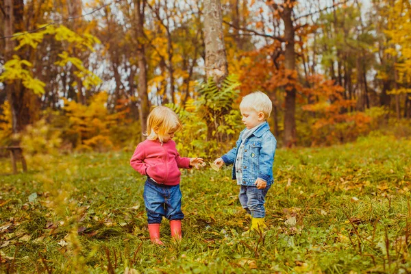 Lindos niños caminando en el parque de otoño — Foto de Stock