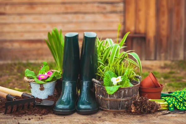 Tuinieren in de buurt van de schuur, bloemen en planten — Stockfoto