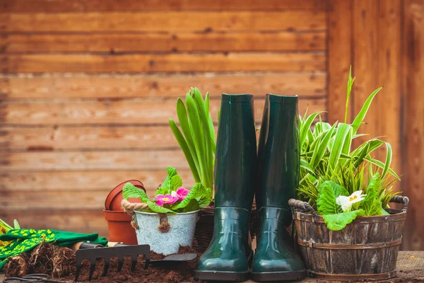 Stilleven op de houten tafel over de schuur — Stockfoto