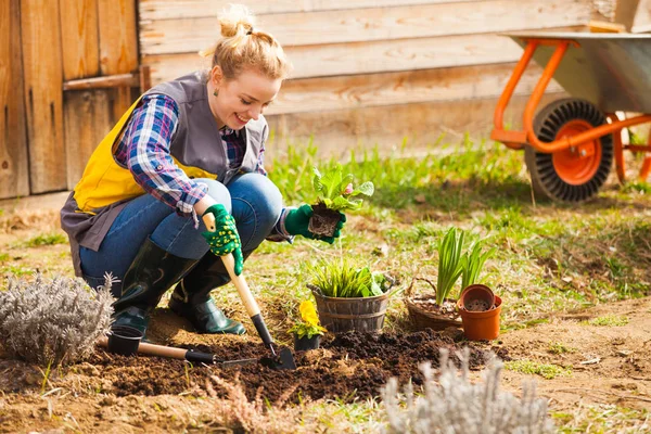 Vrouw is planten of werken op bloem bed — Stockfoto