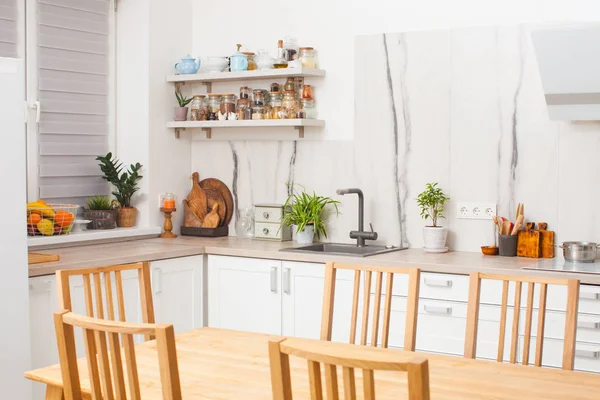 Современная и дизайнерская скандинавская кухня с растениями — стоковое фото