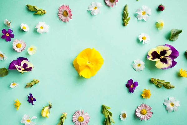 Marco de flores de primavera sobre el fondo azul —  Fotos de Stock