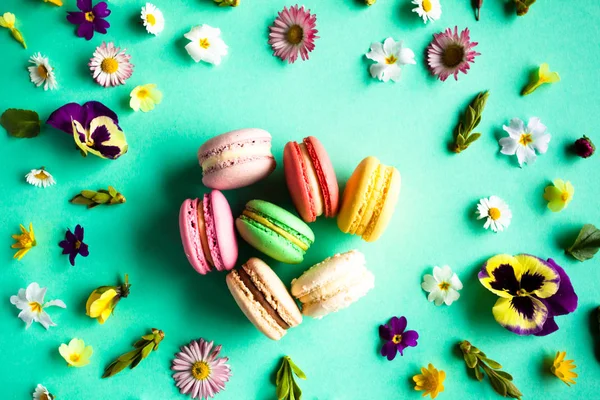 Macarons colorés et fleurs vue de dessus sur le bleu — Photo