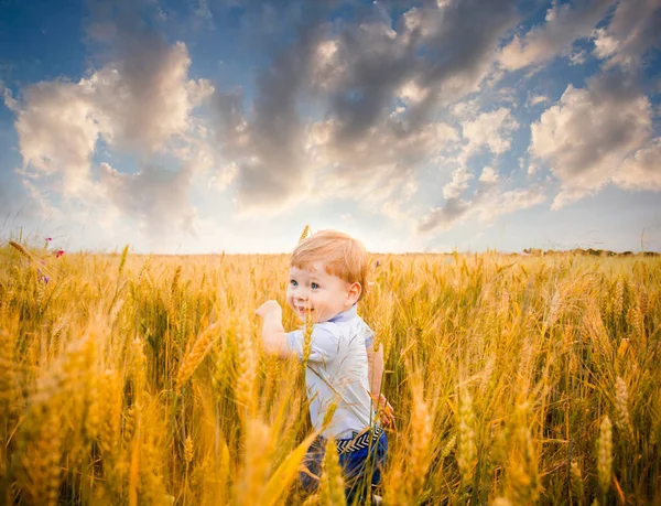 Boy walking on the meadow. Back view. — Stock Photo, Image
